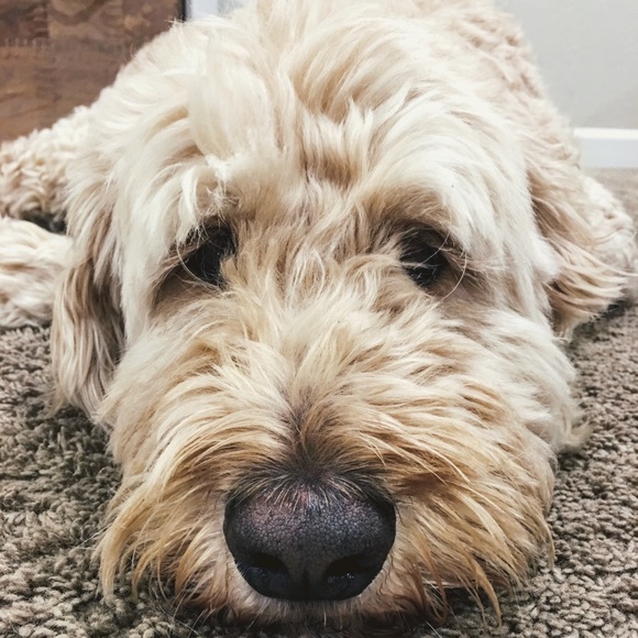 The Peach Parasol - Picture 4 of 4